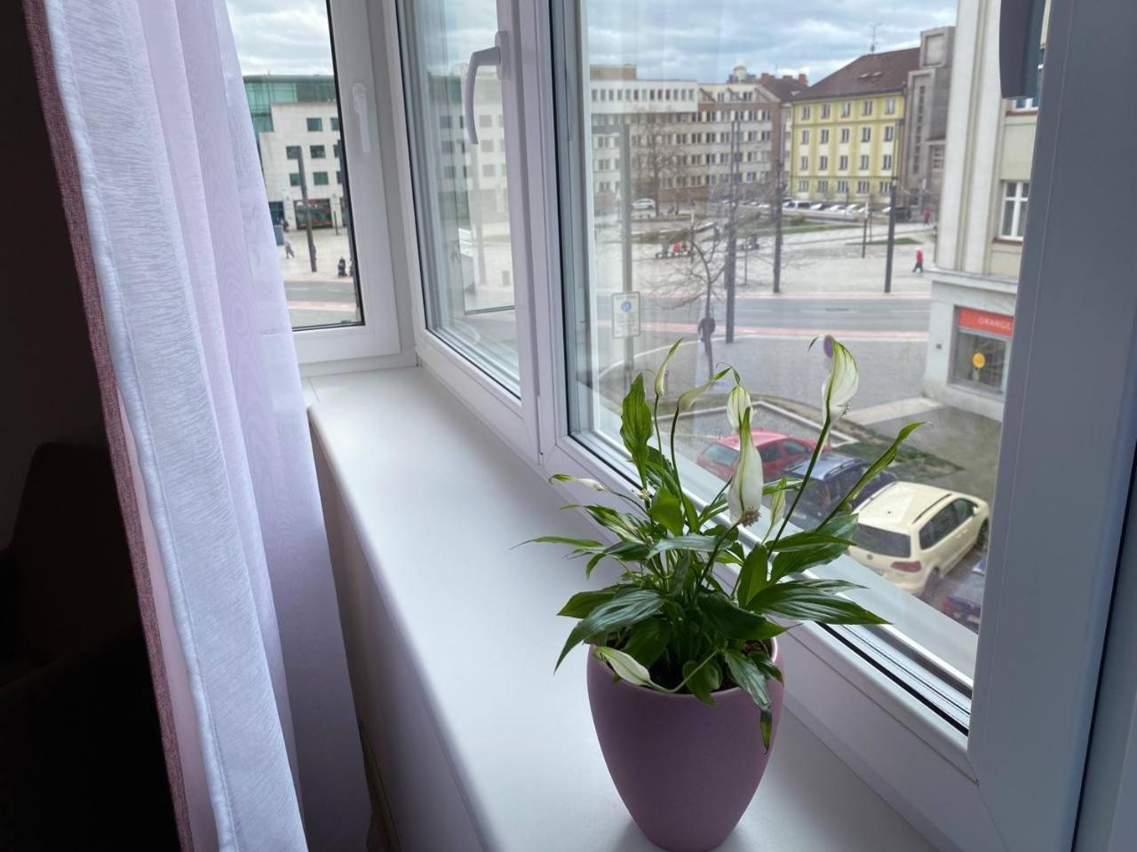 Perla Hradce 202 Leilighet Hradec Králové Eksteriør bilde